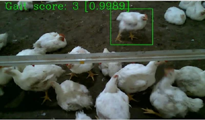 UTIA-image-research-camera.jpg