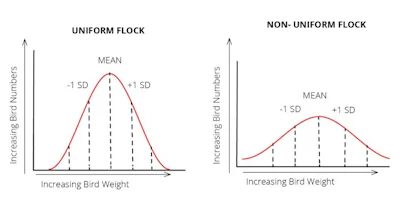 Uniformity-Curves-Cobb.jpg