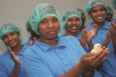 Workers-with-chicks-in India.jpg