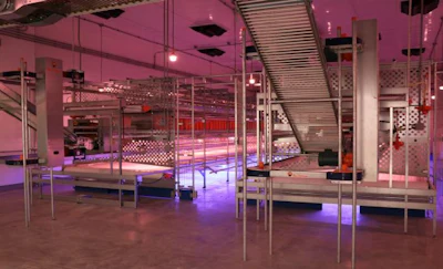 big-dutchman-isu-research-equipment