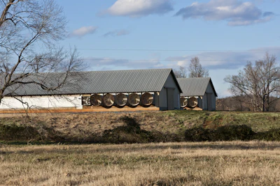 chicken-house.jpg