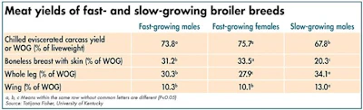comparing-meat-yields-slow-growing-broilers.jpg