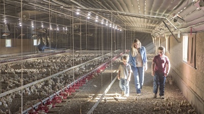 farm-family-raising-perdue-chickens.jpg