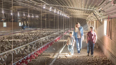 farm-family-raising-perdue-chickens.jpg