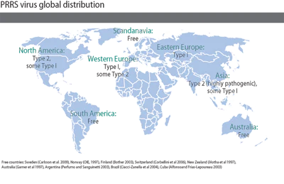 global PRRS distribution