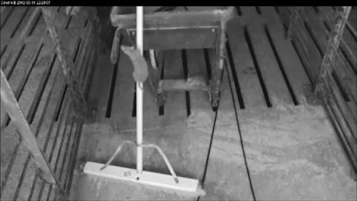 night vision rat