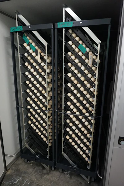 opened-single-stage-incubator