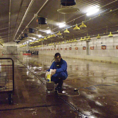 preparing-for-fumigation-1606PIbroilerhousecleaning2.jpg