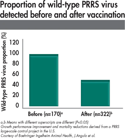 proportion of wild type PRRS detected