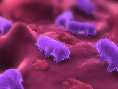 salmonella-3.jpg