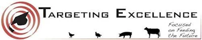 targeting excellence logo