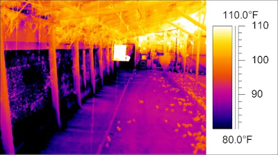 thermal-imaging-winter-care.jpg