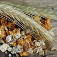 Cereal Grain Via Pixabay July 2022