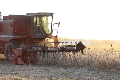 Farmer Harvesting Soybeans In Field