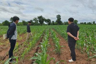 CP works with corn producers to share plantation knowledge and techniques.