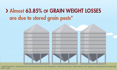 63 Of Grain Weight Lost To Pests