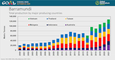 Barramundi Production In Sea
