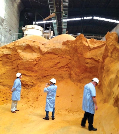 玉米质量展开任务检验dgs