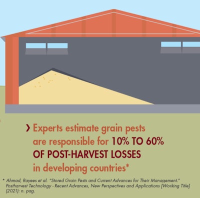 Grain Pests Responsiblefor 10 To 60 Of Loss