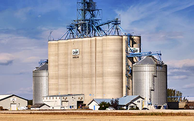 Cargill Nicklen Siding Purchase