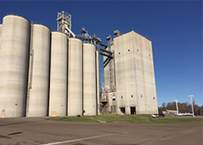 Koch Foods