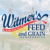 Witmer Icon 2