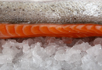 Fish Filet On Ice