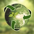 Green Earth With Plant