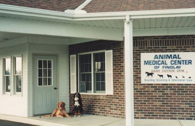 Best-Breed-dog-clinic