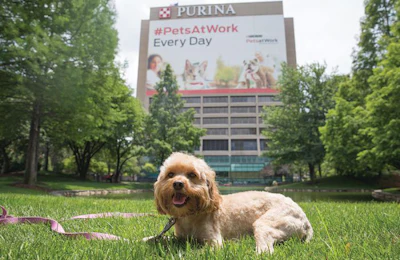 Purina cover PetsAtWork