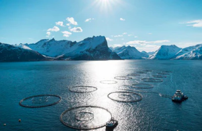 biomega-salmon-farming-norway