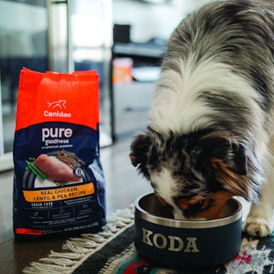 Canidae Pure Dog