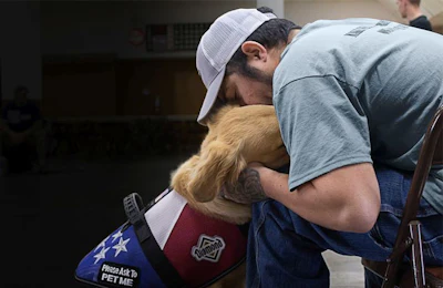 diamond-k9-hug