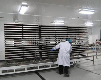 freeze-dry-trays