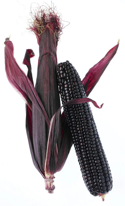 healthy-food-ingredients-purple-corn