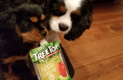 treetop-dogs-with-applesauce