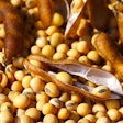 Soybeans In Pods Stepanuch Via Bigstock Jan 2023