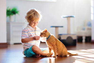 Accurately conveying pet nutrition information to customers is vital to building trust.