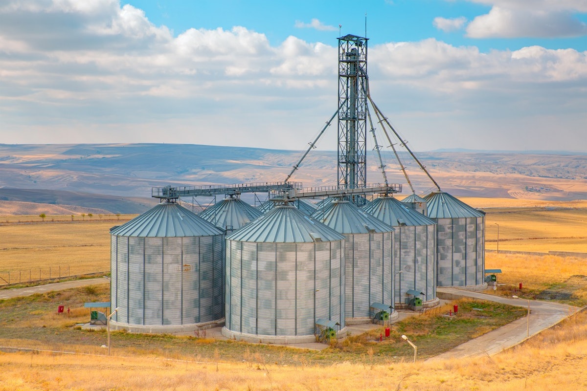 The Art of Managing Grain Quality with Silos - AGRIVI