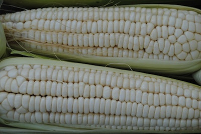 White Corn Via Pixabay Jan 2023