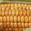 Corn Close Up Riteshman Pixabay com