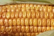 Corn Close Up Riteshman Pixabay com