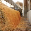 Corn Silo Farm Grate 1200x800 Sarymsakov I Stock