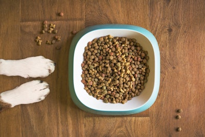 Dog Food Bowl Dry Kibble Matty Coulton Gentle Dog Trainers