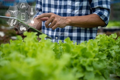 Farmer With Tablet In Soybeans Pixabay