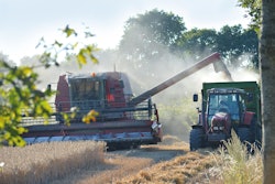 Grain Harvest Neelam279 Pixabay