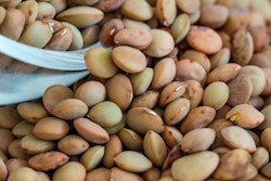 Lentils Martin Hetto Pixabay