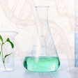 Plant In Lab Beakers Photo Mix Company Pixabay
