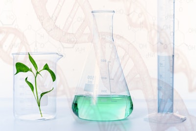 Plant In Lab Beakers Photo Mix Company Pixabay
