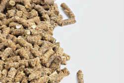 Animal Feed In A Pile Aleksandr Shyripa Bigstock